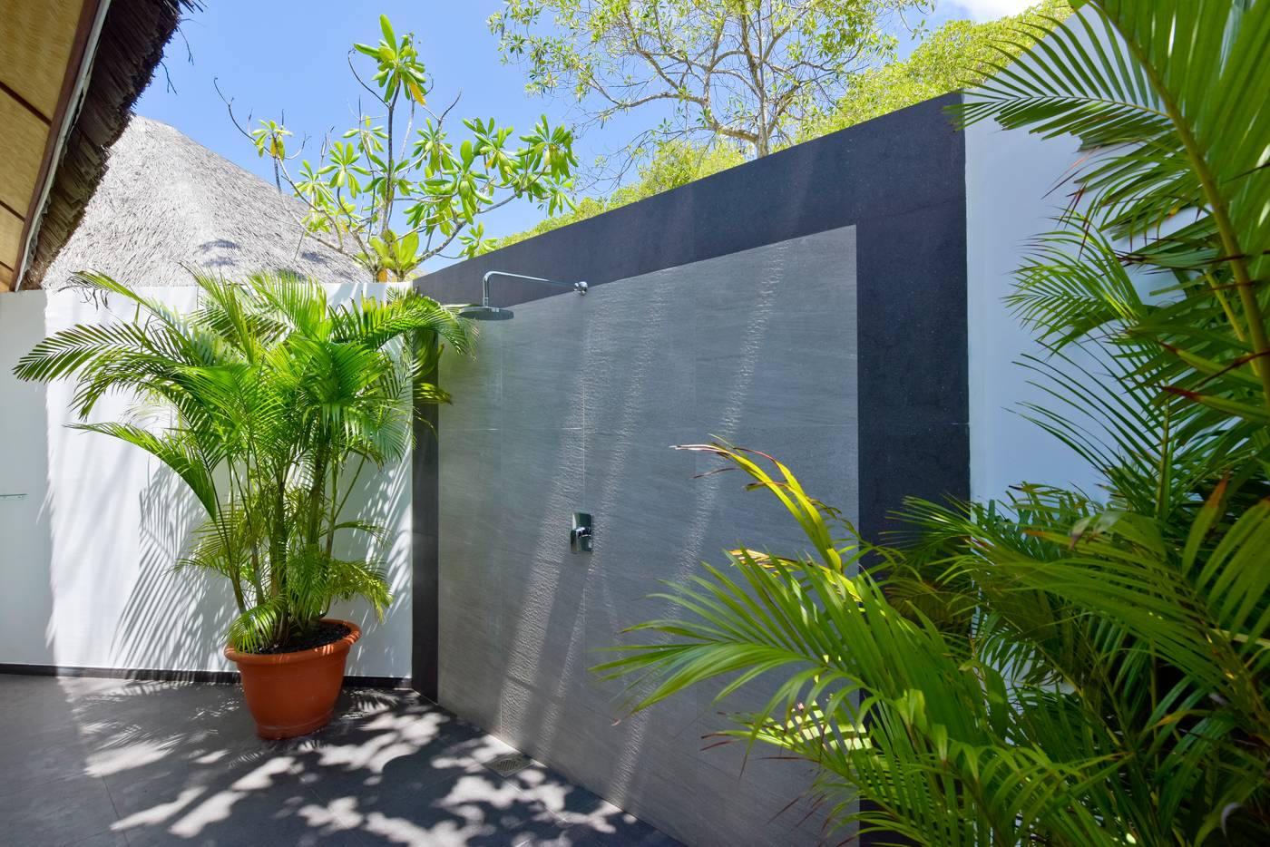 Dreamland Maldives 19.11