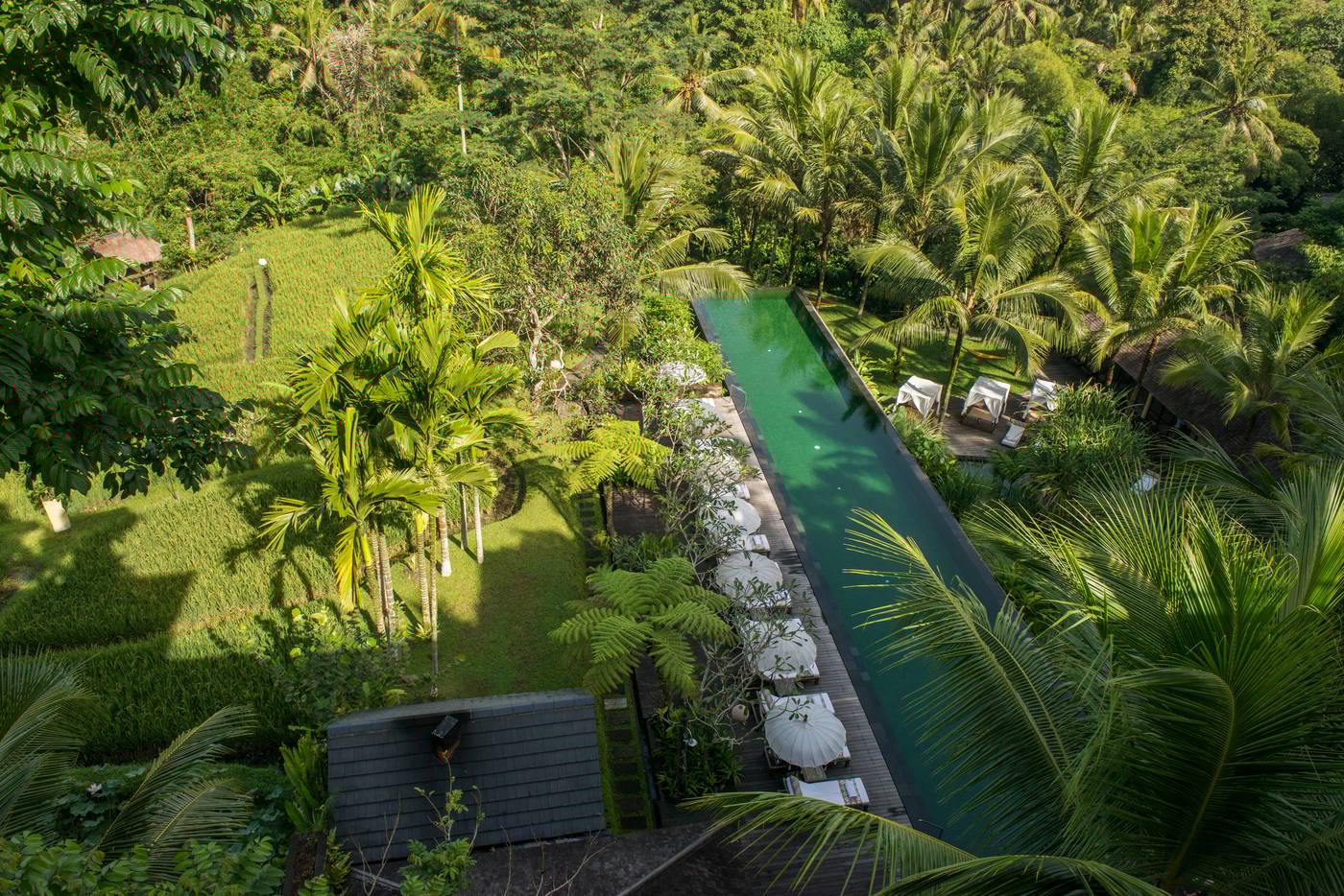 Komaneka at Bisma-Indonesia-BALI-General view-3