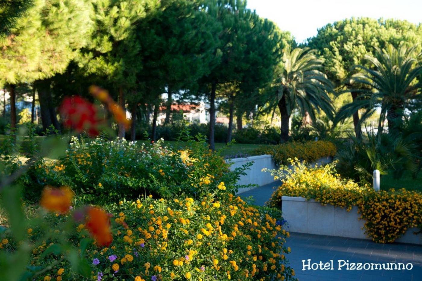 Pizzomunno Vieste Palace Hotel-Italy-VIESTE-General view-3