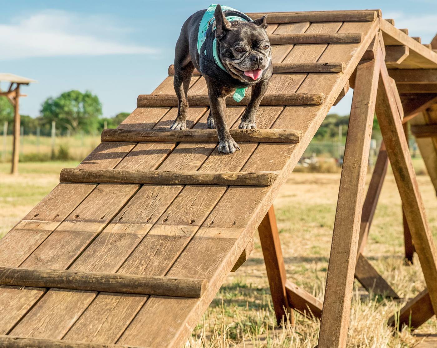 Gitavillage-Le-Marze-Sports-and-Entertainment-42