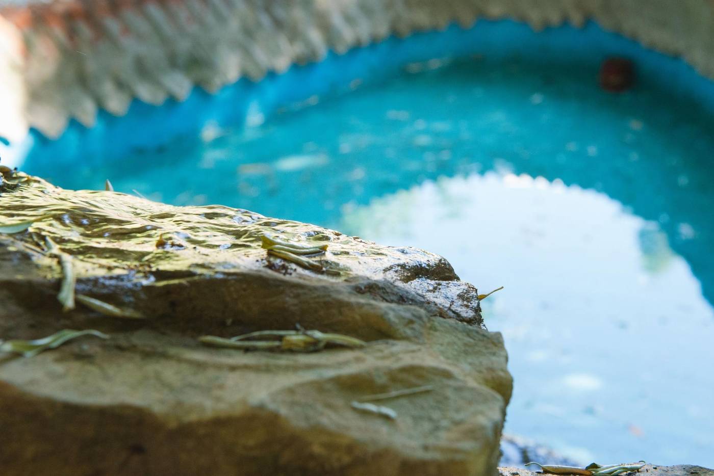 Hotel Boutique Torre Barcelona-Spain-SANT CUGAT DEL VALLES-General view-5