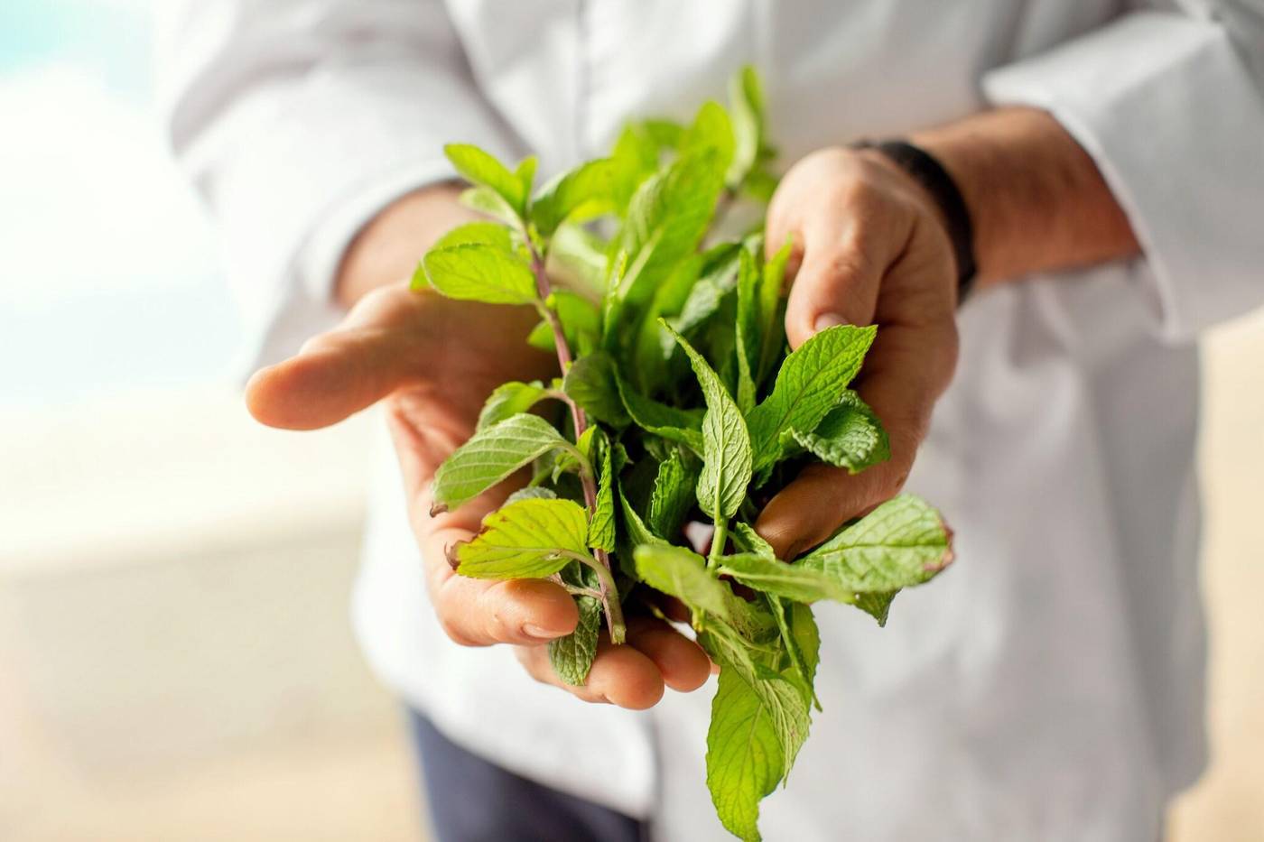 Mediterranean-Resort-Restaurant-16