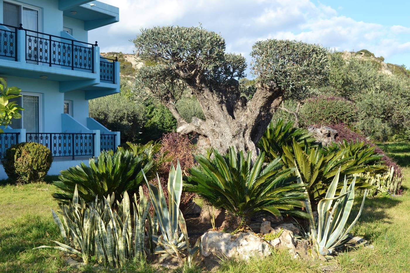 Argiro-Village-General-view-11