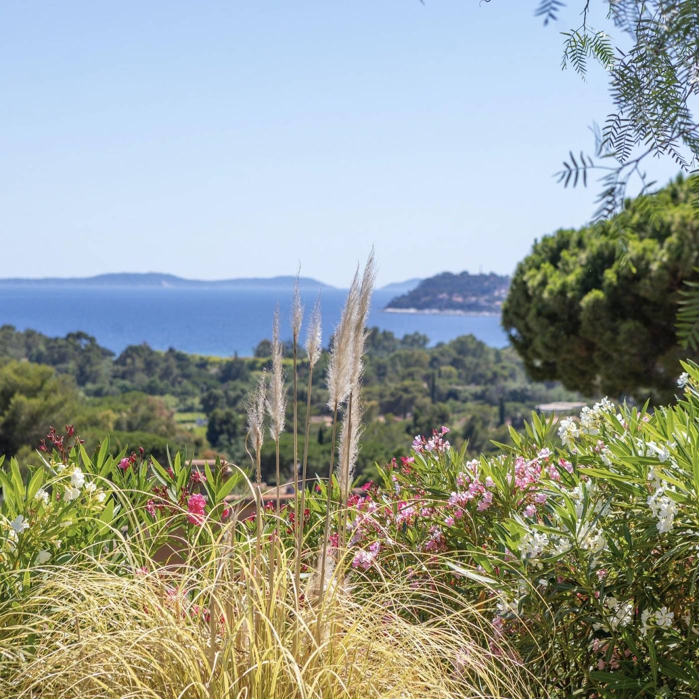 Chateau-de-Mei-Lese-General-view-87