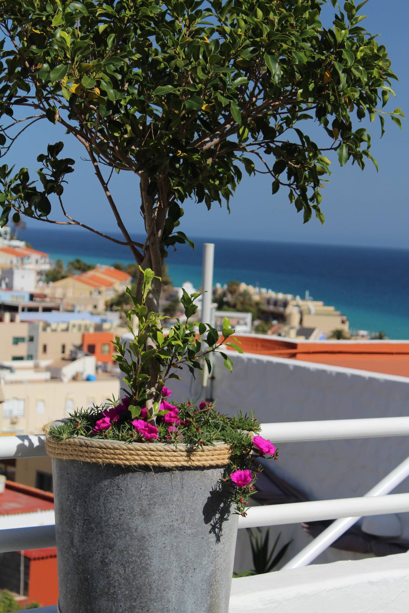 Casa-Alberto-Terrace-5