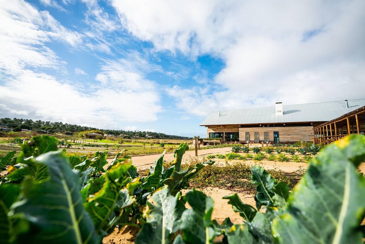 Quinta-Da-Comporta-Wellness-Boutique-Resort-General-view-80