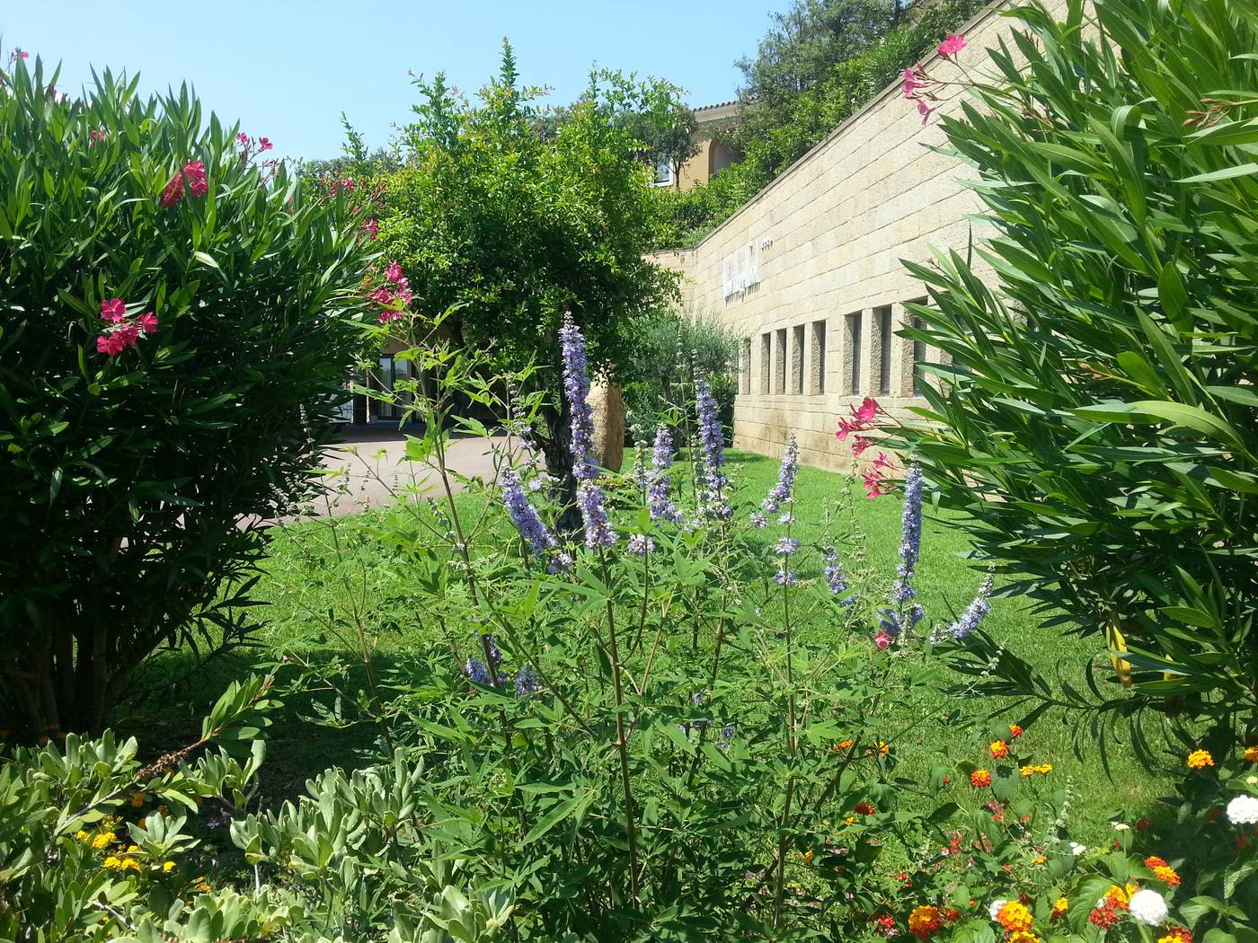 Geovillage-Olbia-Sport---Convention-Resort-General-view-17