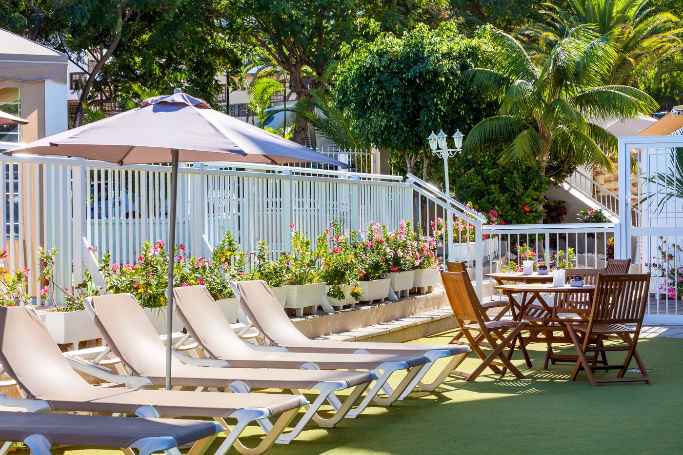 Los-Dragos-Del-Norte-Terrace-40