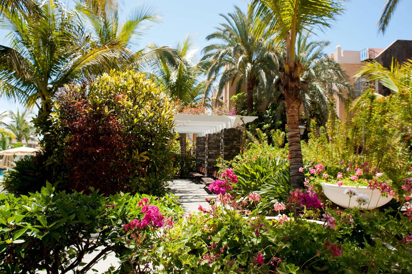 Palm-Oasis-Maspalomas-General-view-28