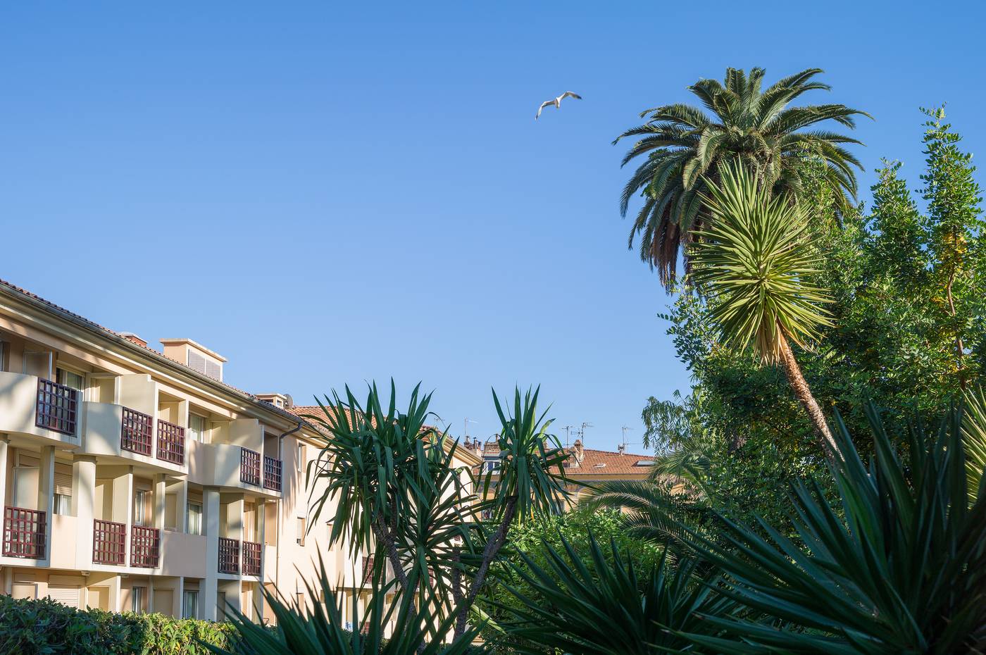 Les Citronniers-France-MENTON-General view-10