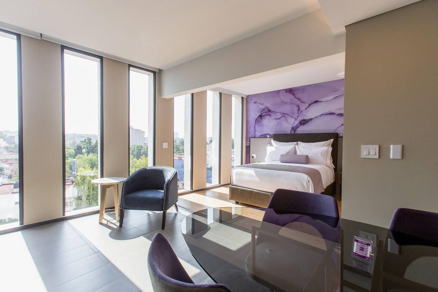Hs Hotsson Hotel Cdmx Condesa Sur-Mexico-Mexico City-General view-1
