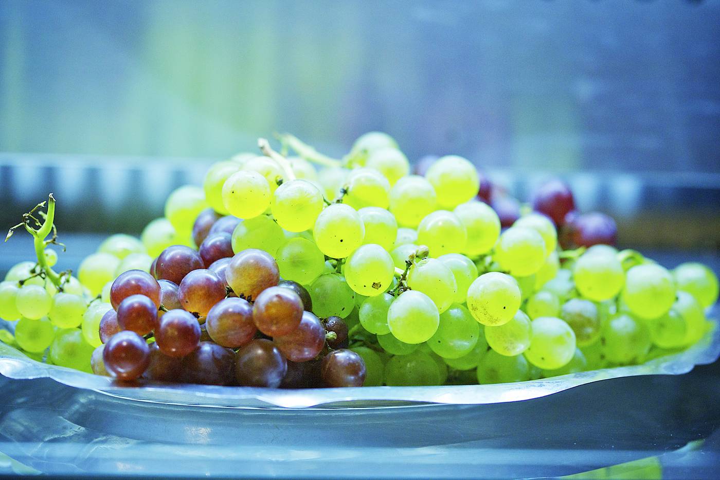 Gold-Hotel-Budapest-Restaurant-54