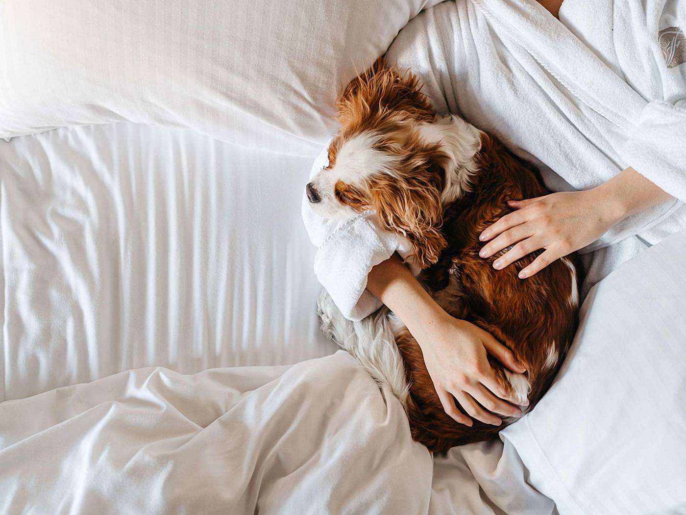 Fairmont-Vancouver-General-view-53