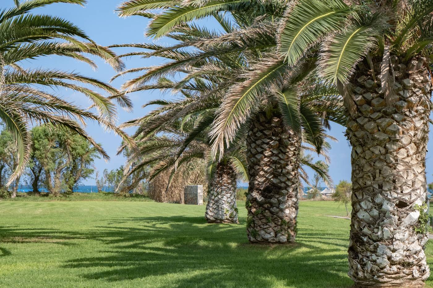 Agapi-Beach-Room-63