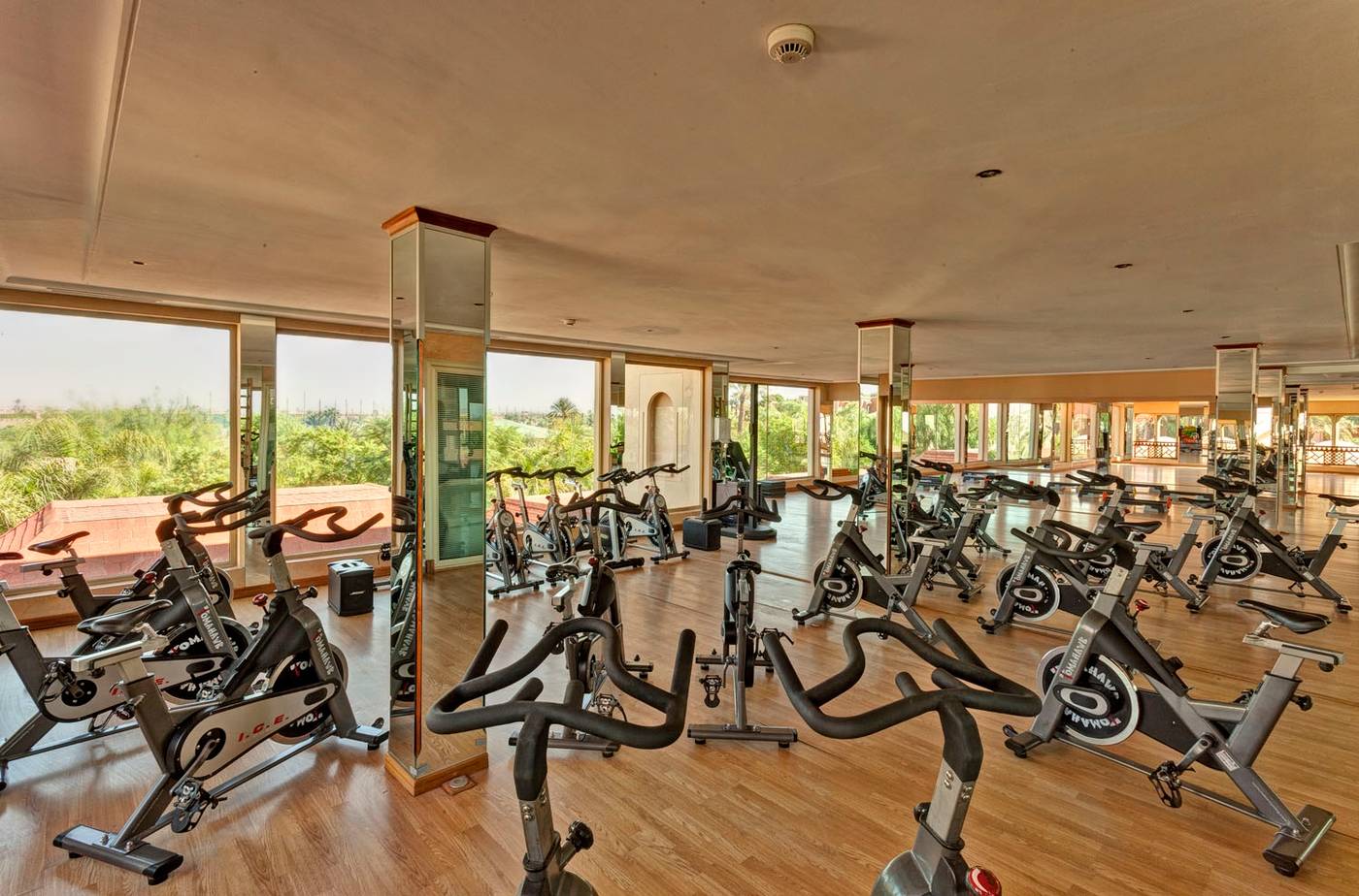 Palmeraie--Palace-Sports-and-Entertainment-51