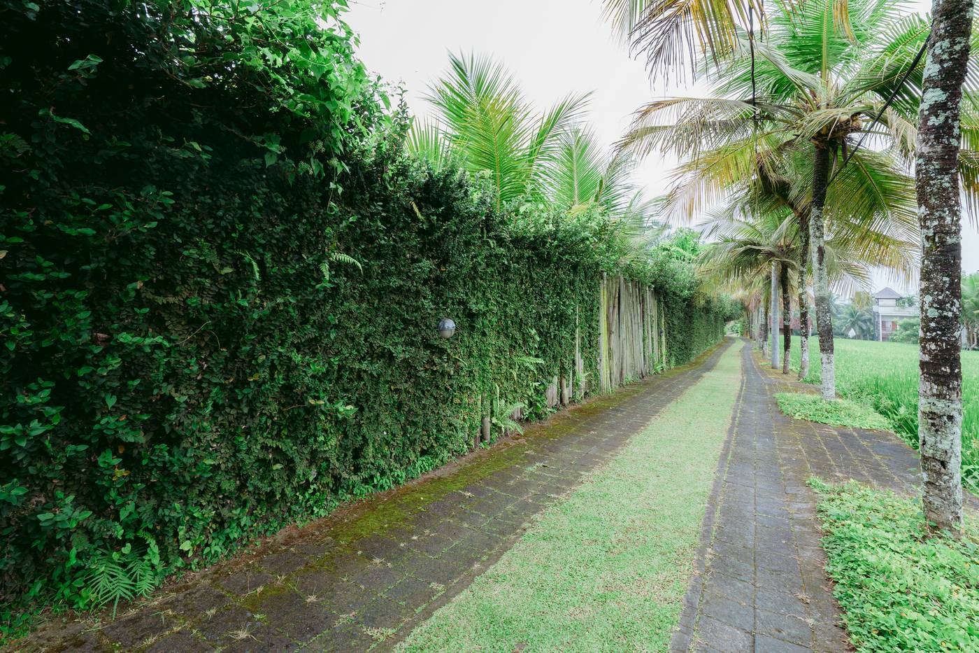 Pertiwi Bisma 1 Ubud Bali-Indonesia-UBUD BALI-General view-2