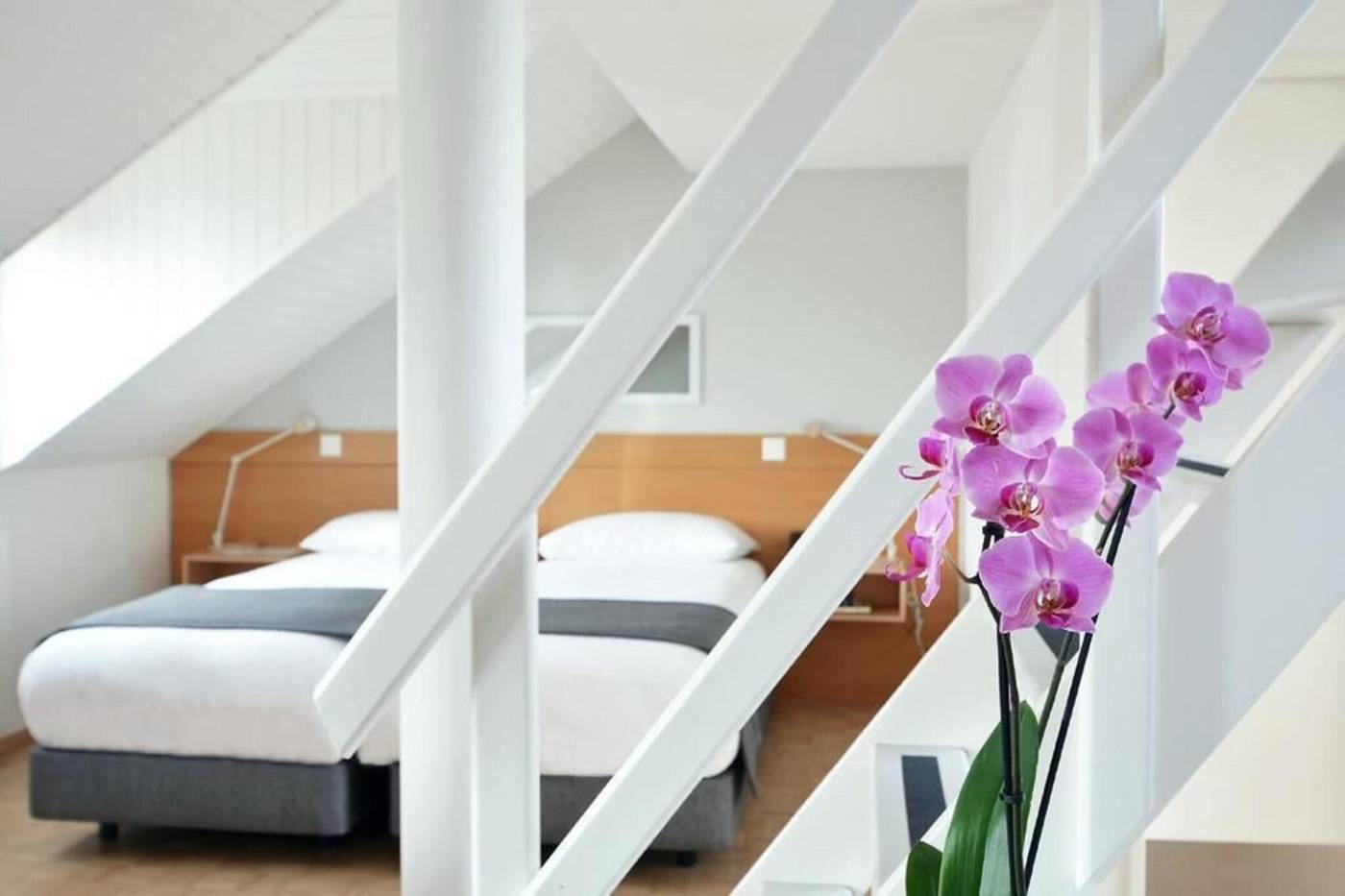 Des-Alpes-Geneva-Room-21