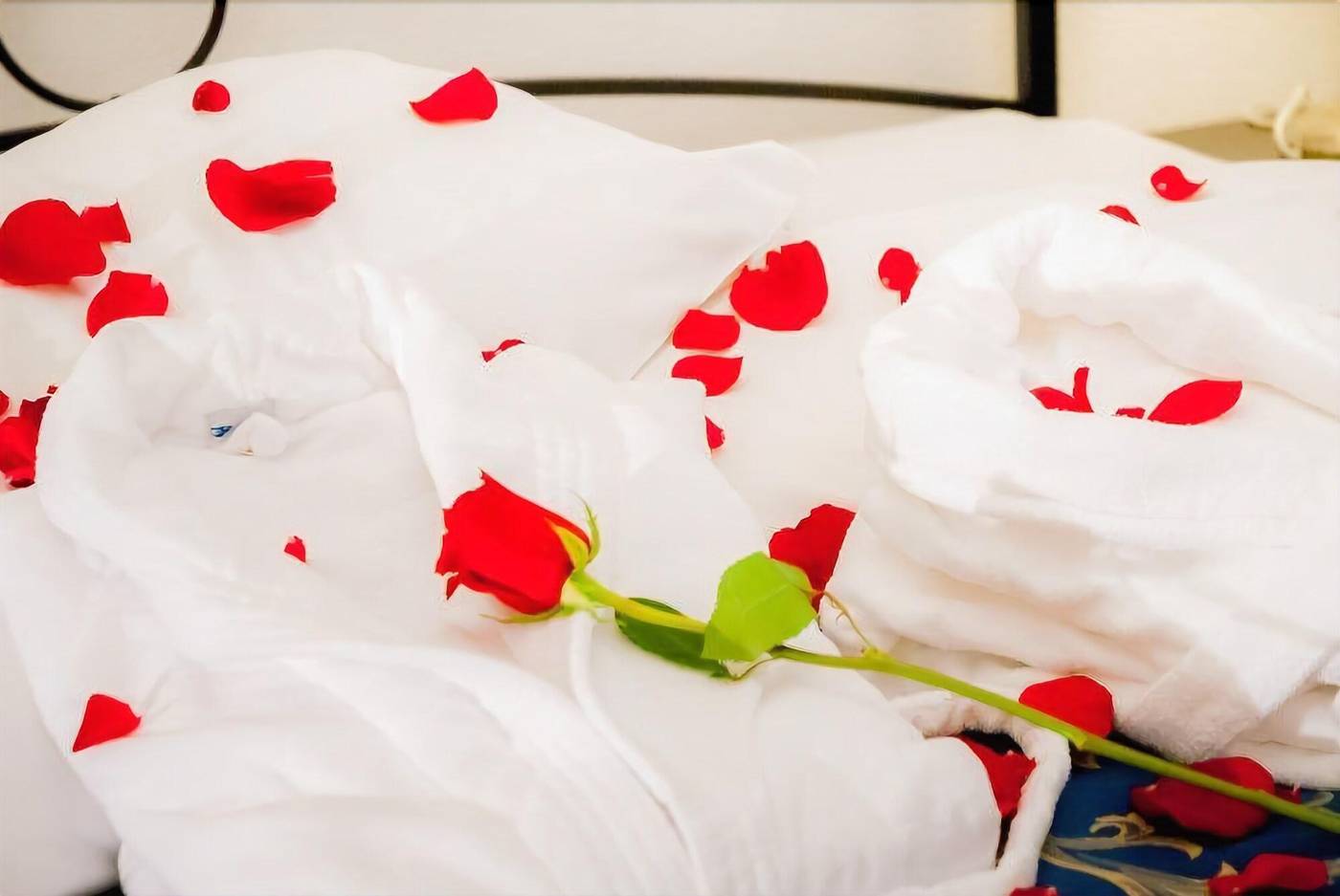 Hotel Centrale-Italy-TRIESTE-Room-2