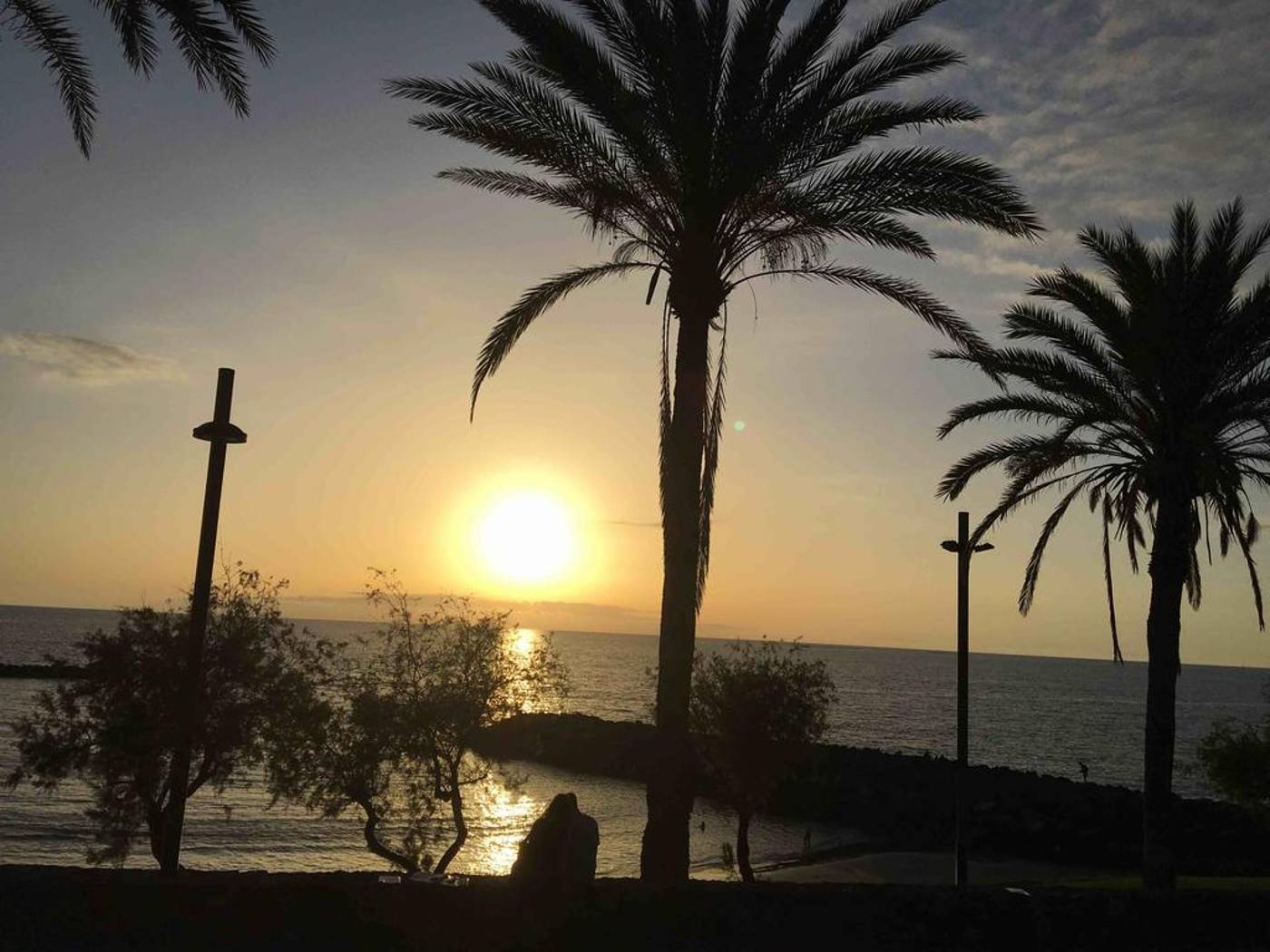 ONA-Palm-Beach-Beach-88