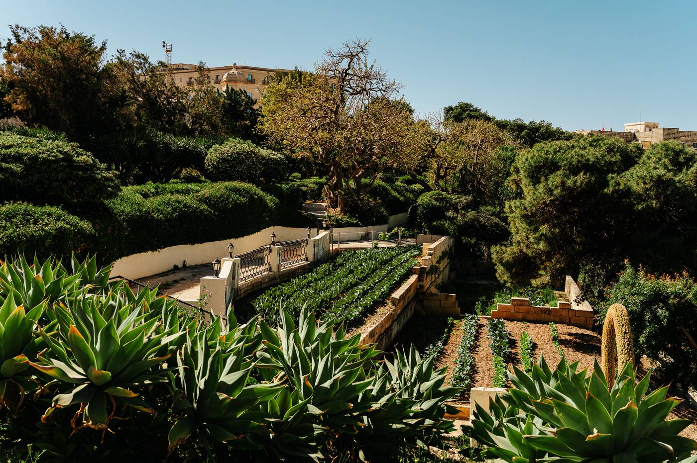 Hotel-Phoenicia-Sports-and-Entertainment-85