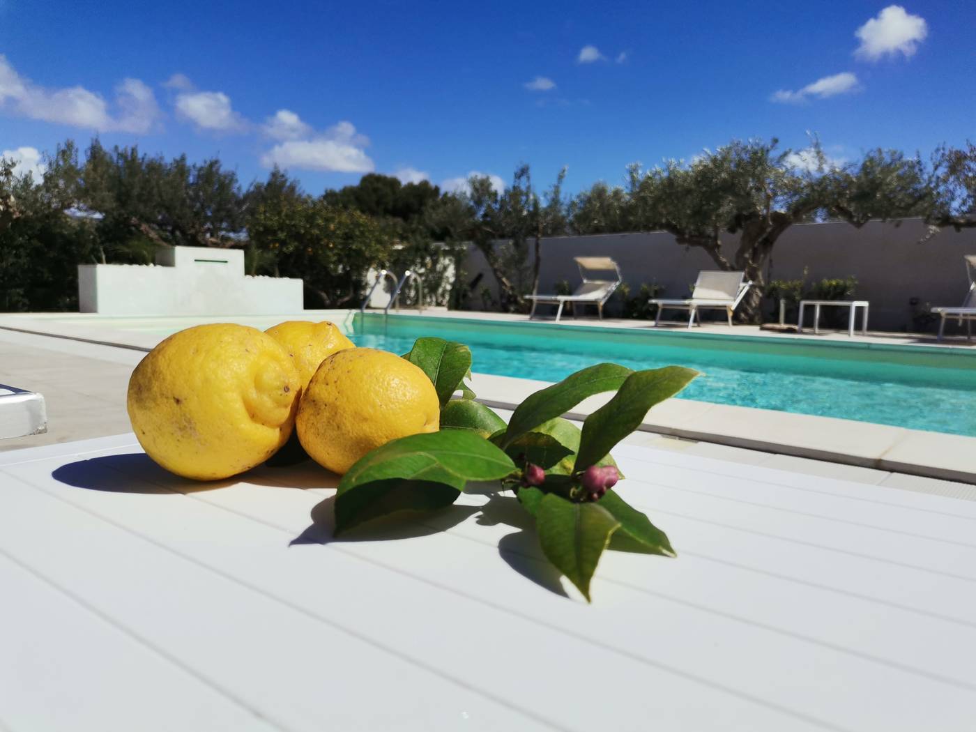 Signorino-Eco-Resort---spa-General-view-6