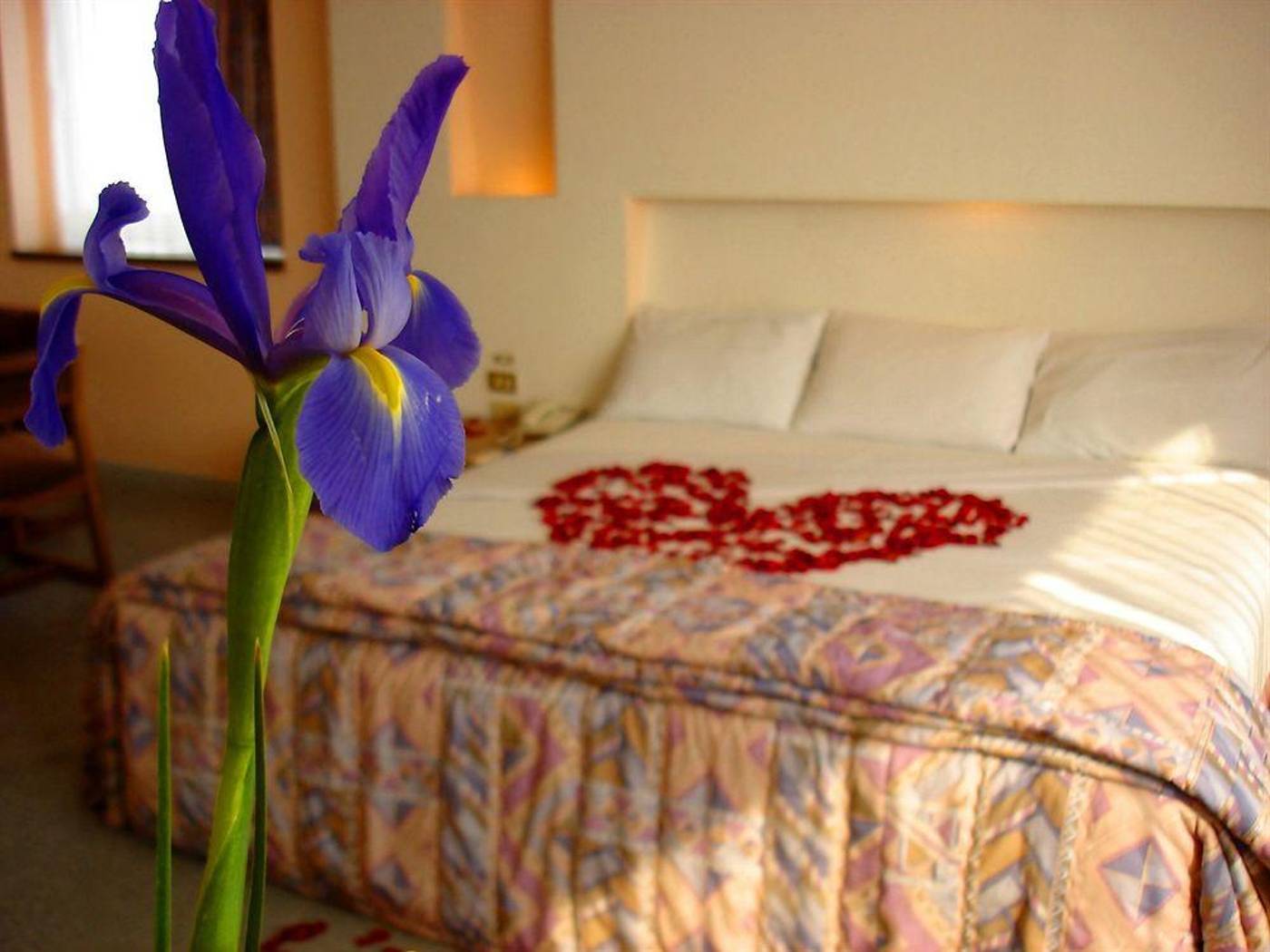 Hotel Del Prado-Mexico-Distrito Federal-General view-5