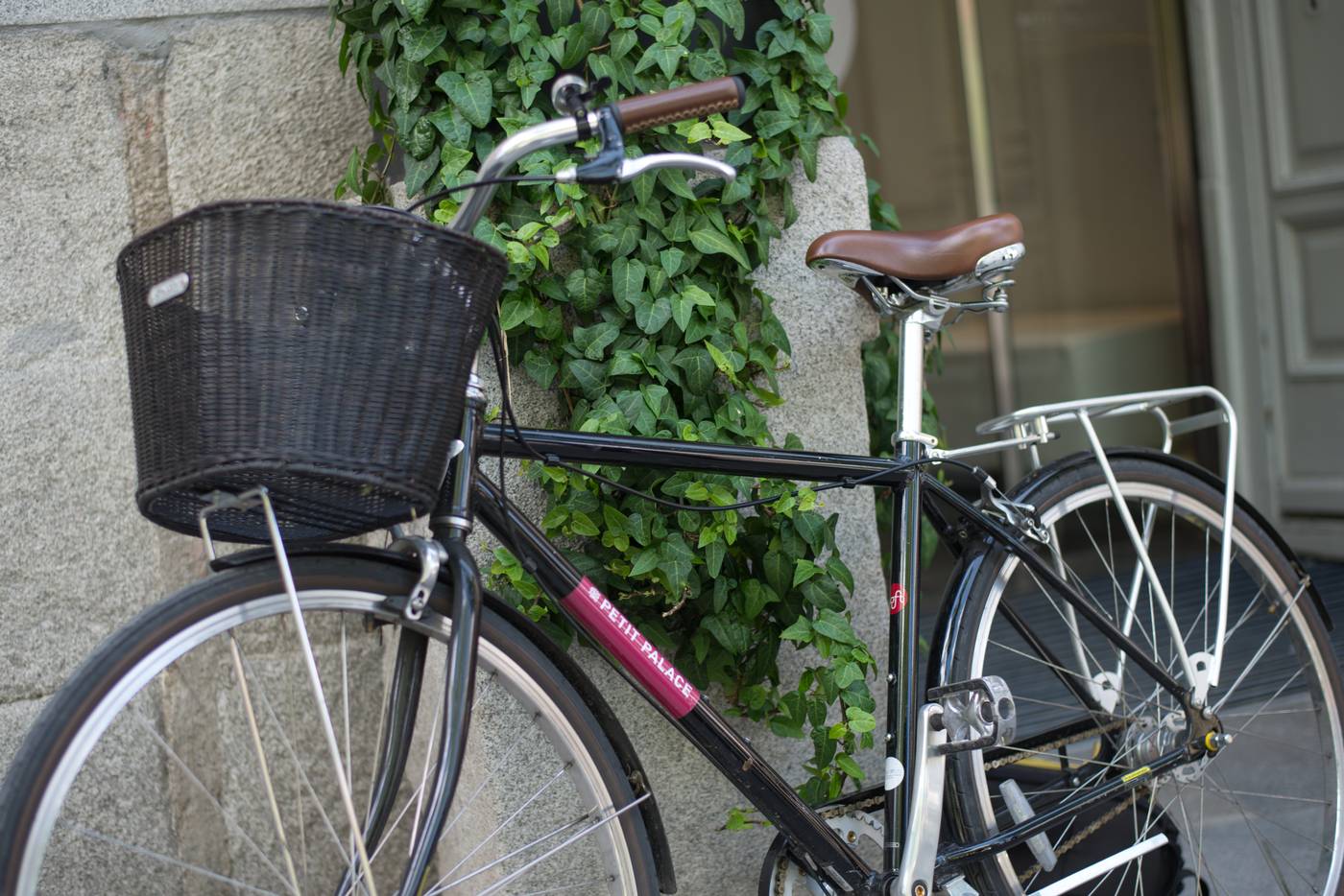 Petit-Palace-Santa-Barbara-Sports-and-Entertainment-55