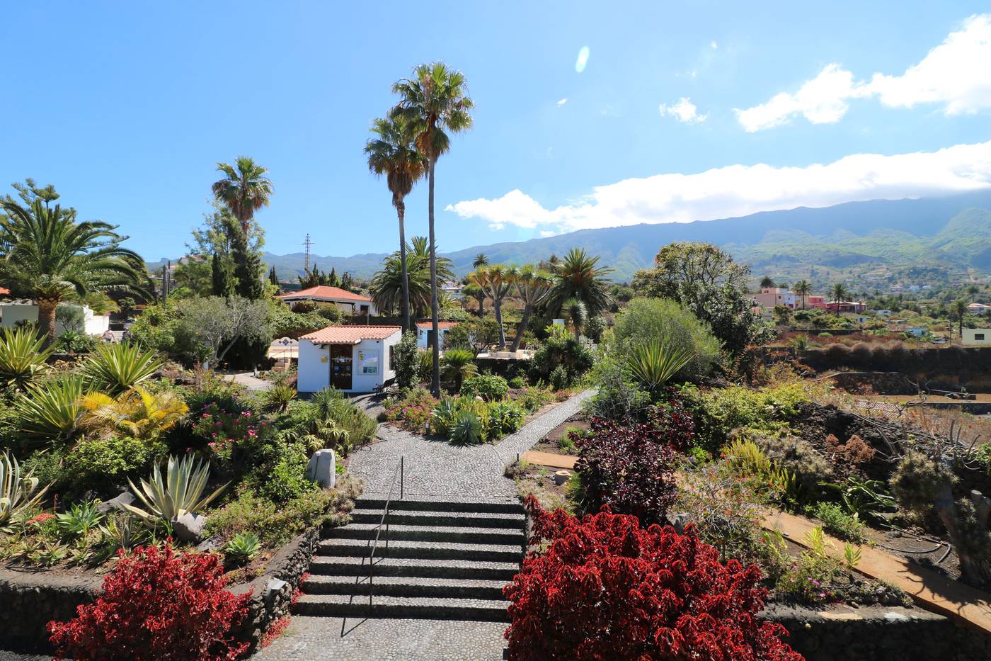 Apartamentos-Miranda-Lobby-15