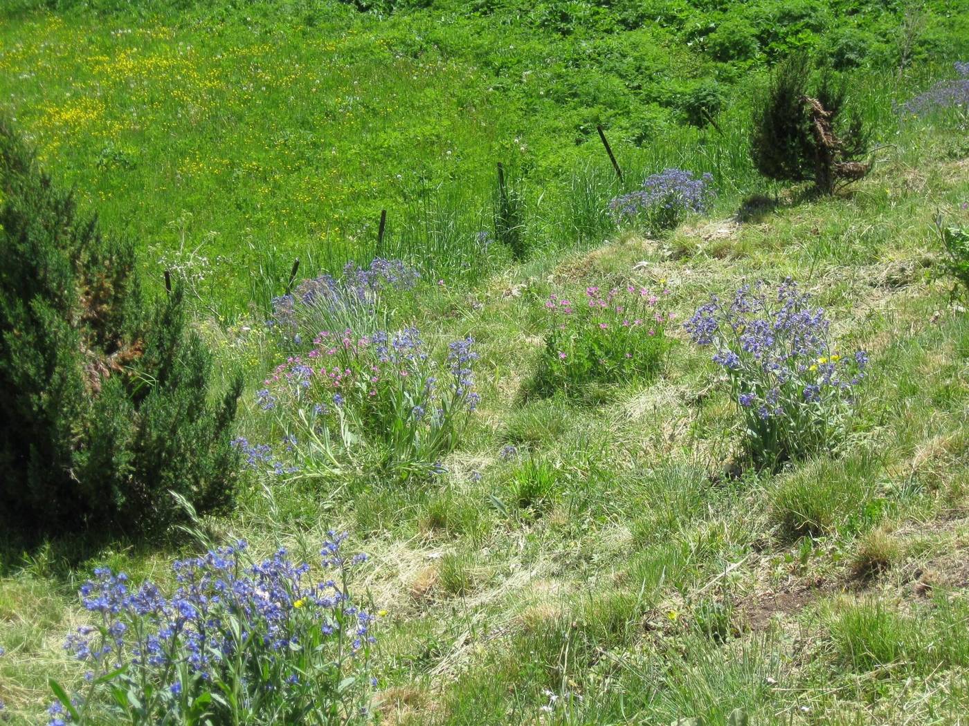 Holidays-General-view-29