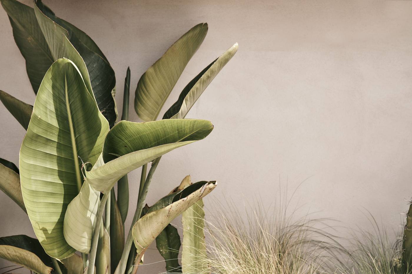 Amyth-of-Mykonos-Hotel-Lobby-40