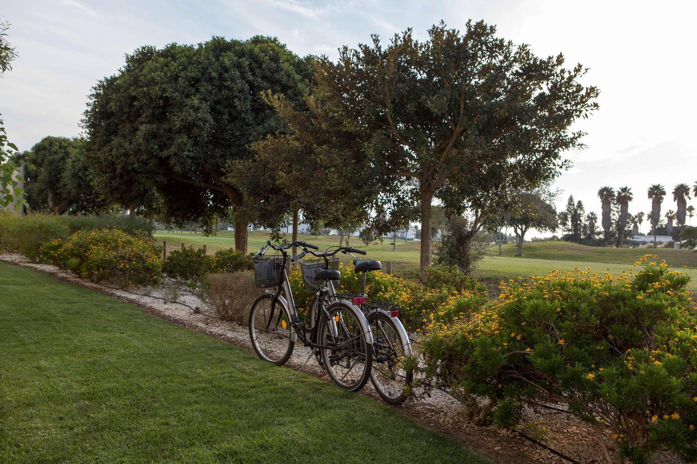 Barcelo-Costa-Ballena-Sports-and-Entertainment-21