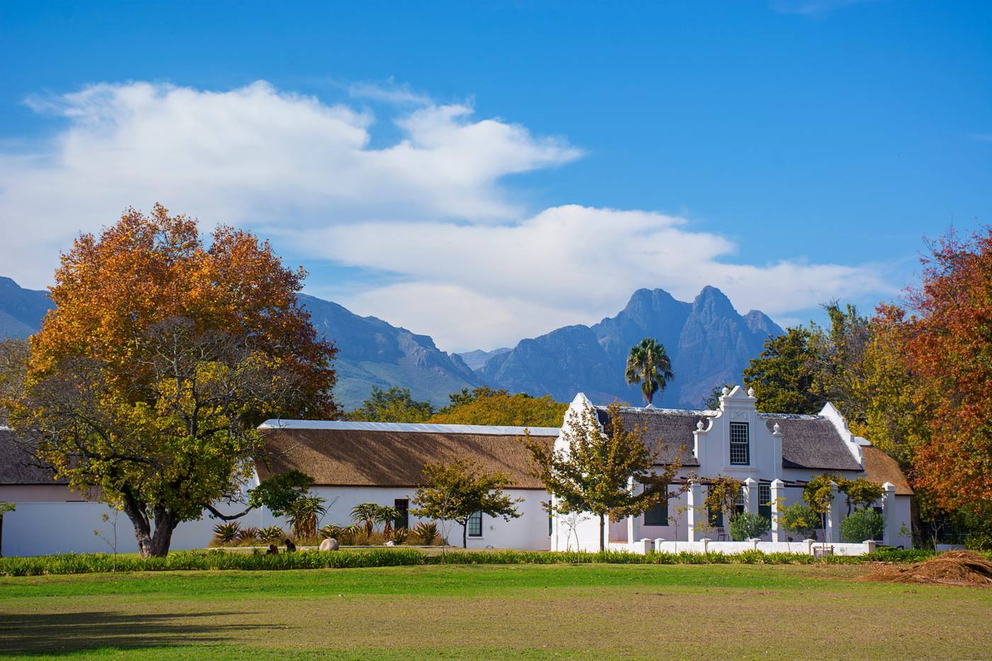 Holiday-Inn-Express-Cape-Town-City-Centre-General-view-1