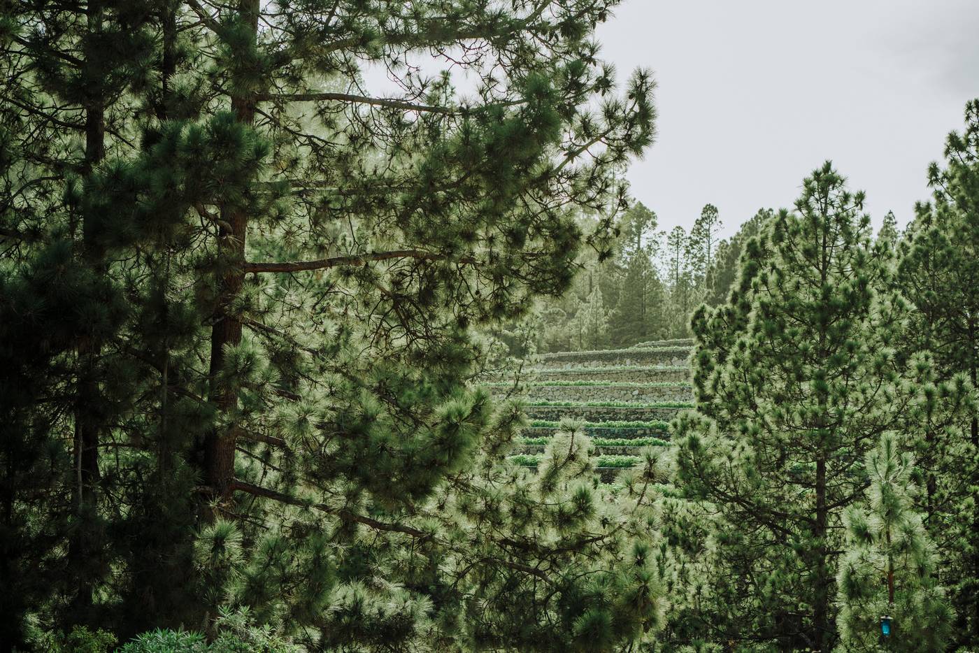 Spa-Villalba---Adults-Only--14---Room-68