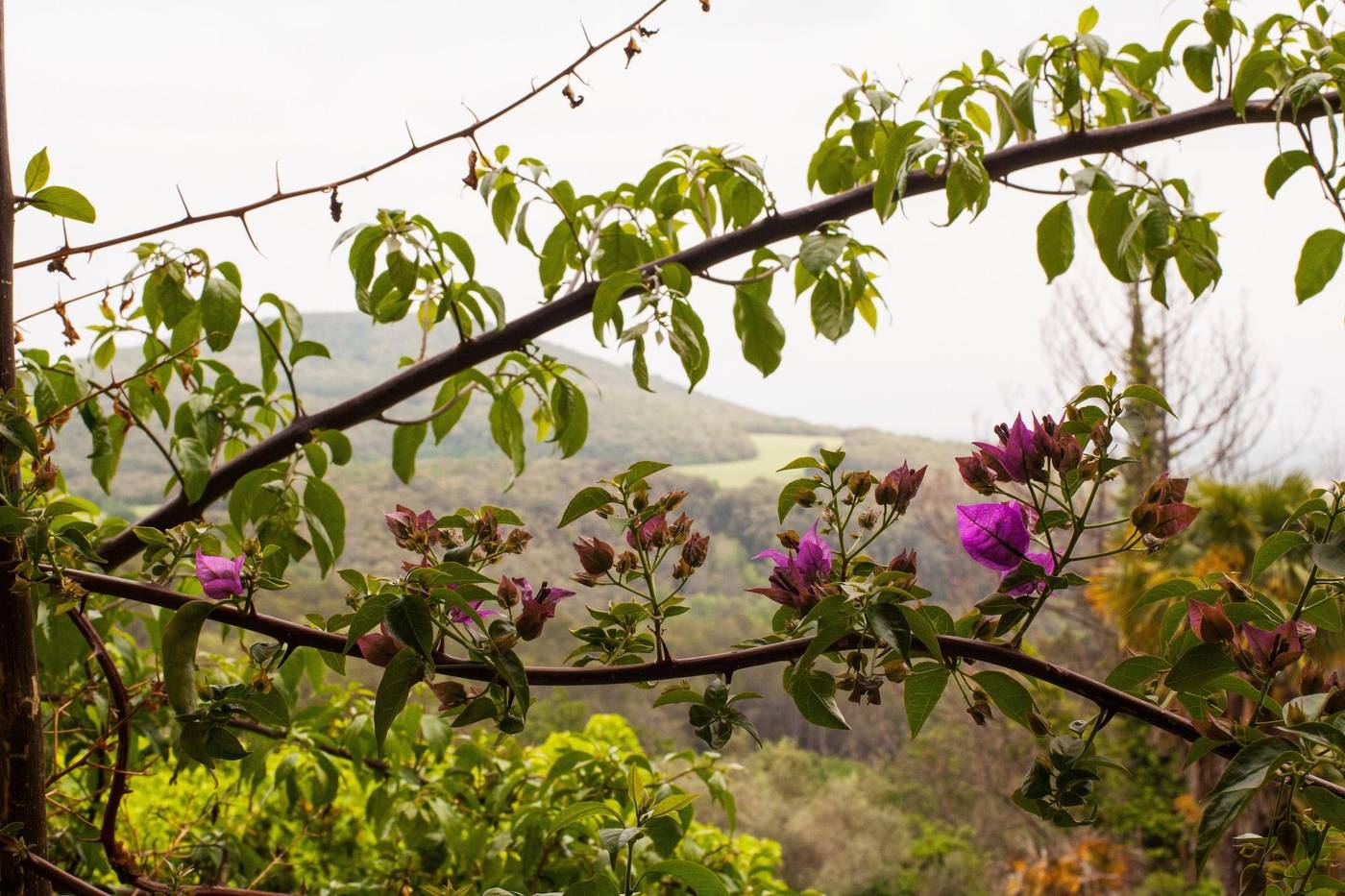 Masia-Can-Pou-General-view-36