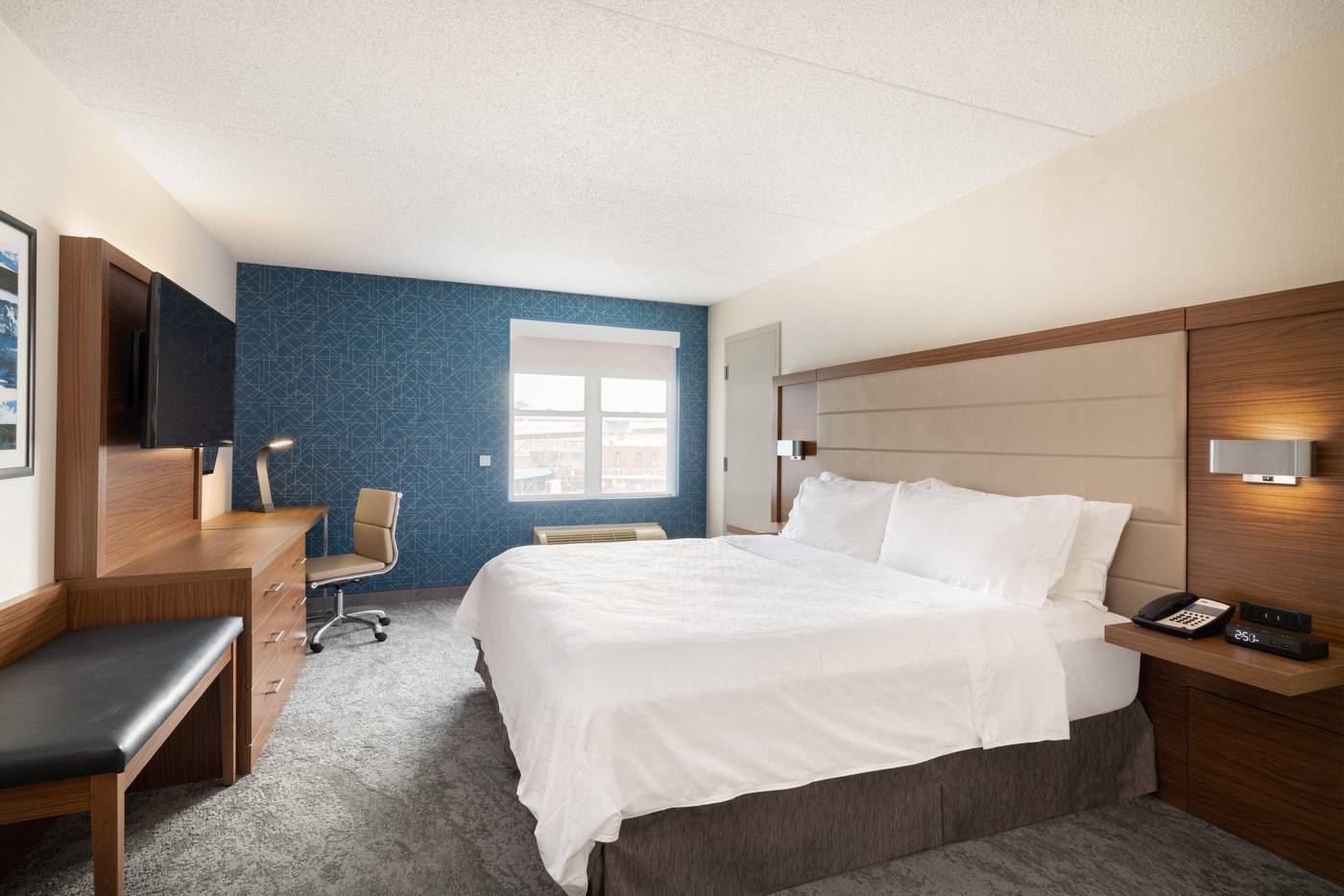 Holiday-Inn-Express---Suites-Boston---Cambridge-Room-16