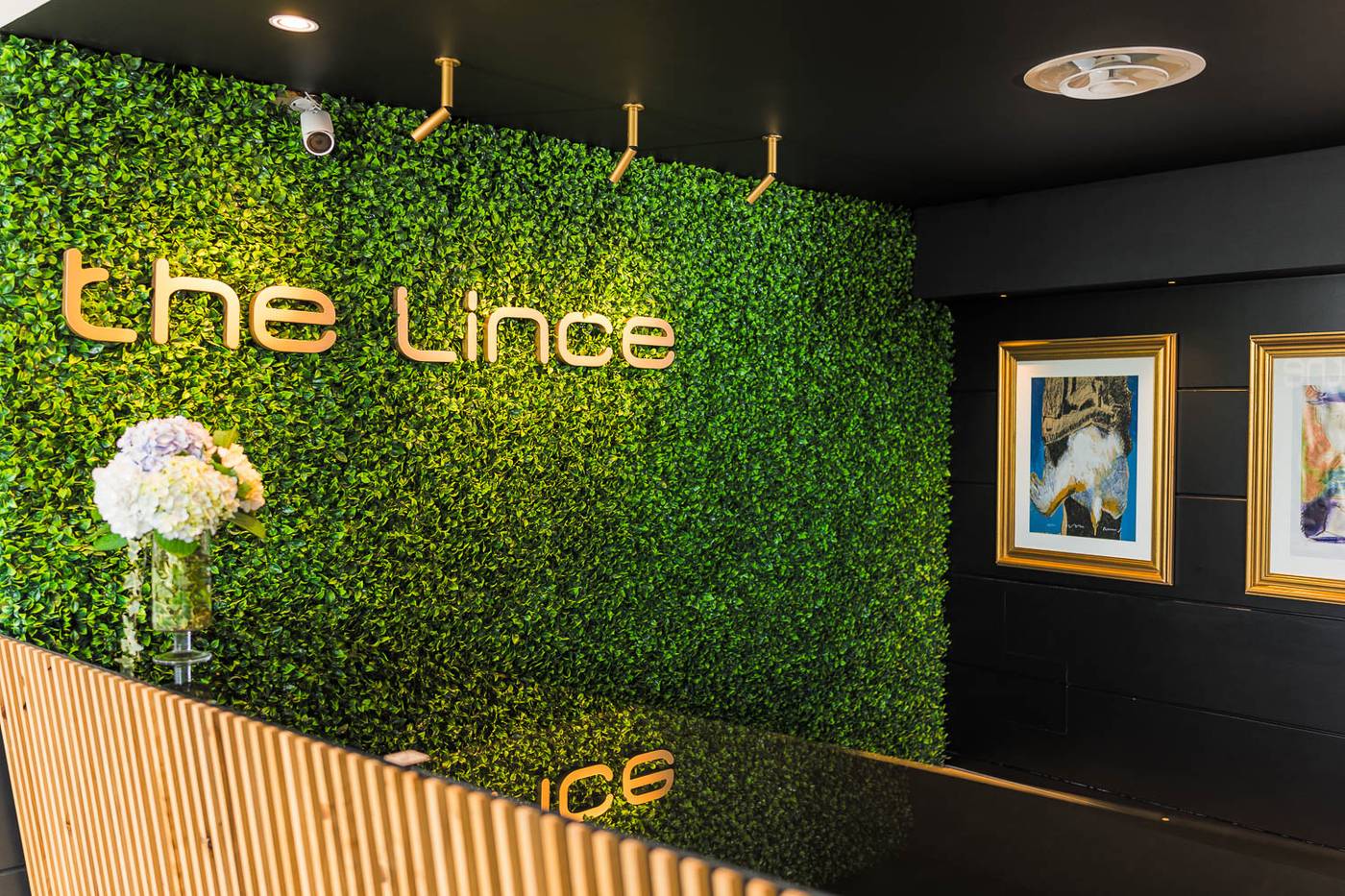 The-Lince-Azores-Great-Lobby-41