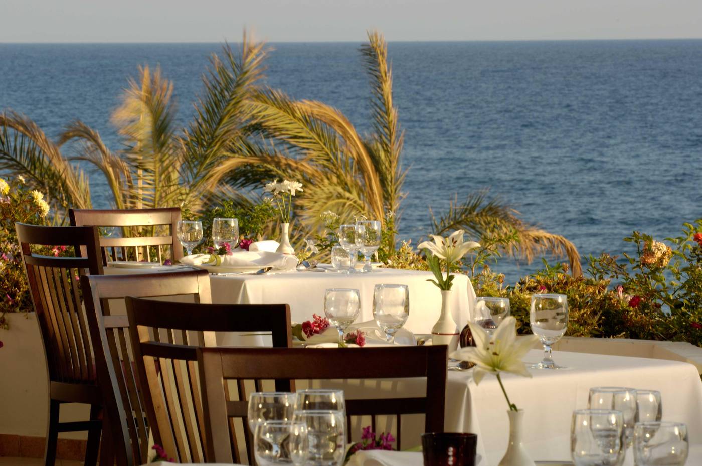 Constantinou-Bros-Athena-Royal-Beach-Hotel---Adults-Only-Restaurant-49