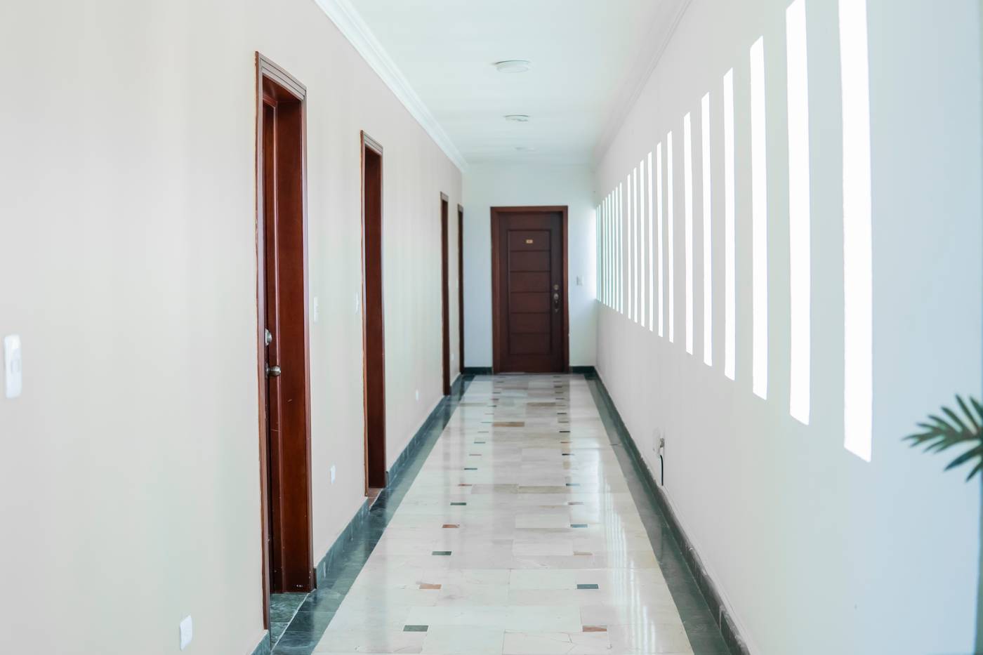 26.01.26 El cortecito