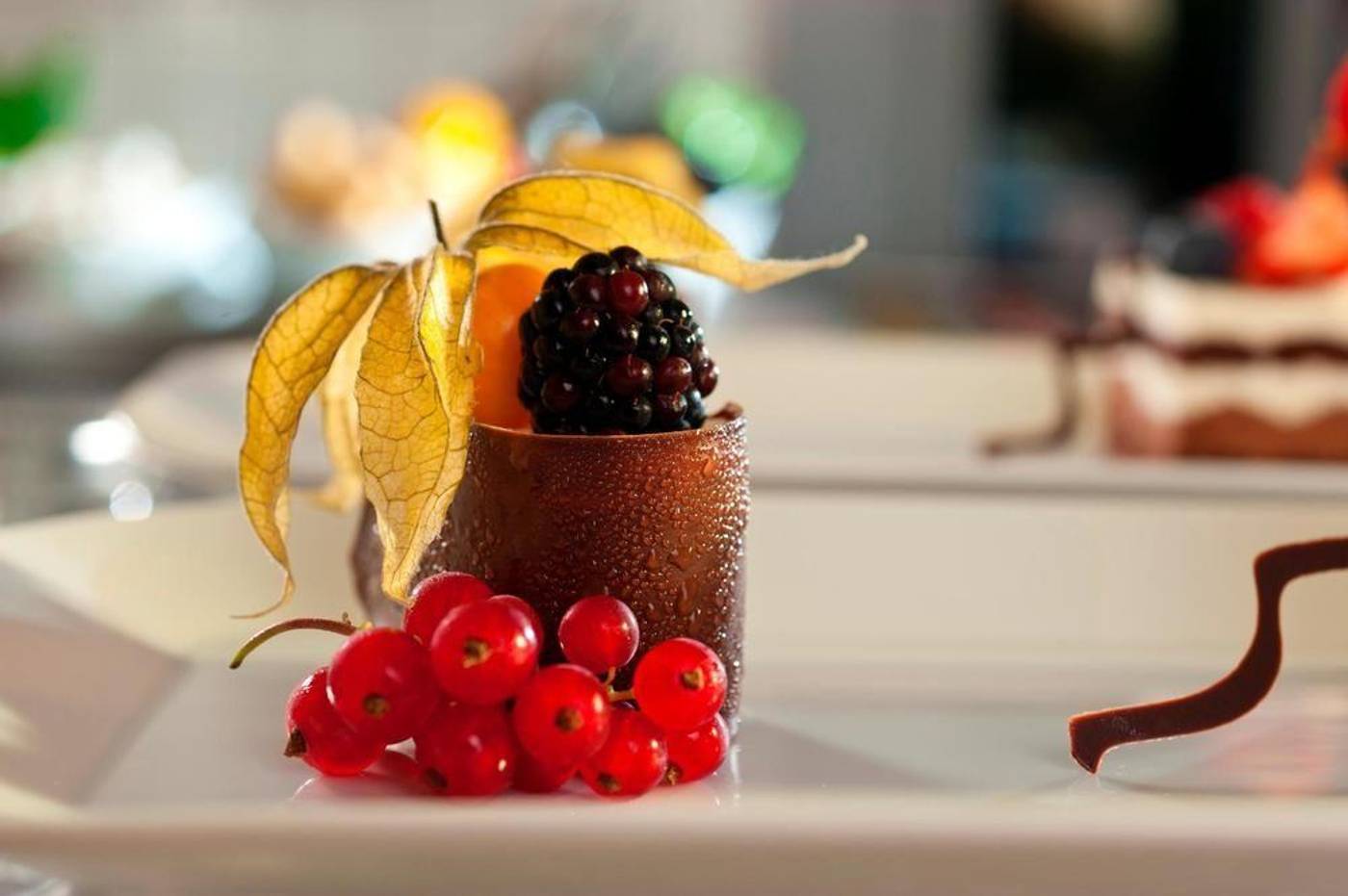 Dorint-Hotel-Sanssouci-Potsdam-General-view-24