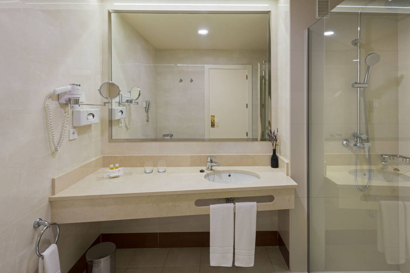 Elba-Madrid-Alcal-----Room-39