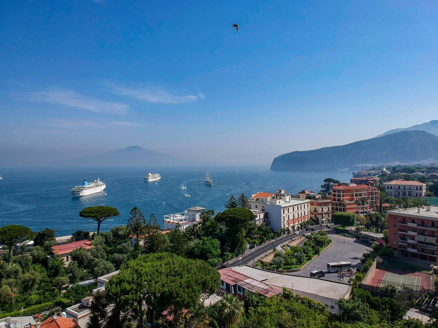 Carlton-International-General-view-26