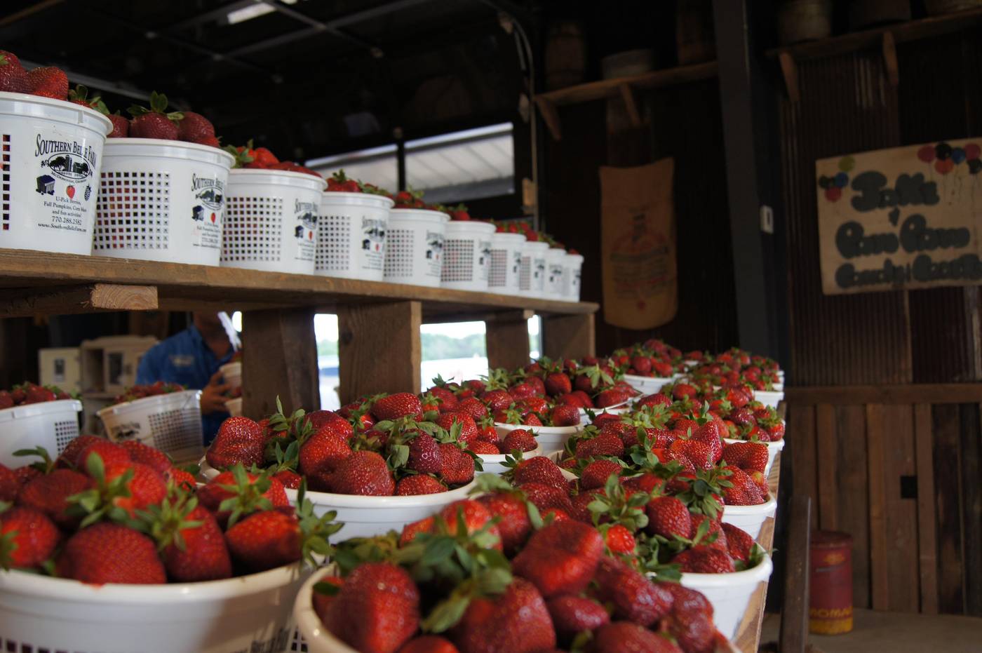 Hilton Garden Inn Atlanta Downtown-United States-ATLANTA-General view-8