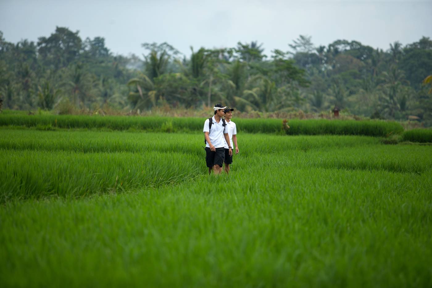 The Samaya Ubud-Indonesia-BALI-General view-10