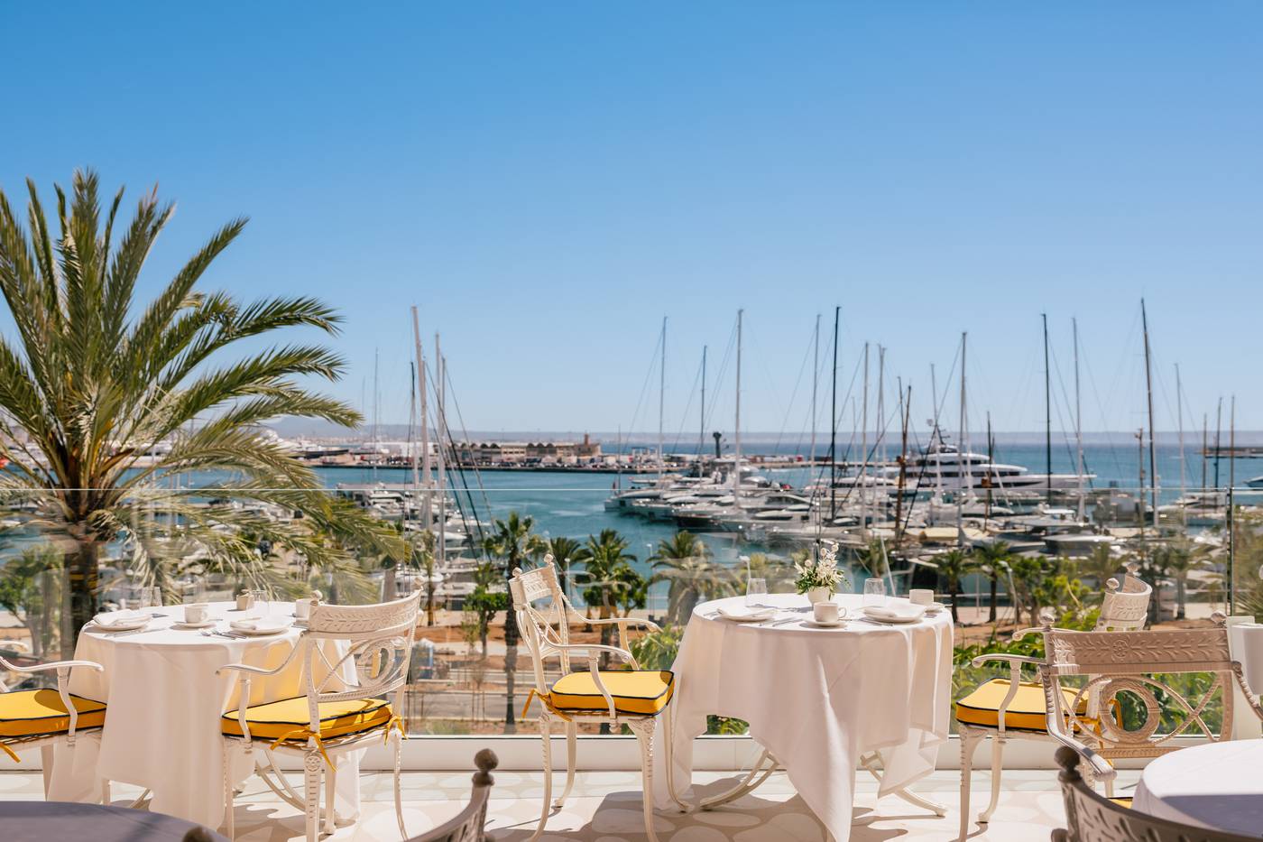 06.05.25 Gran Melia Victoria