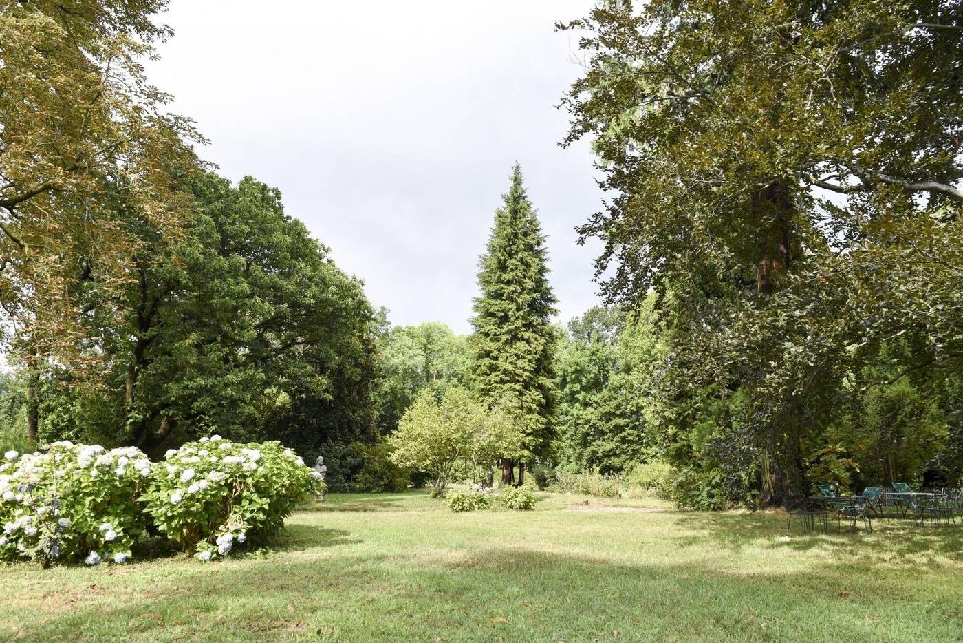 Dandelion Como Suites & Park-Italy-Villa Guardia-General view-3