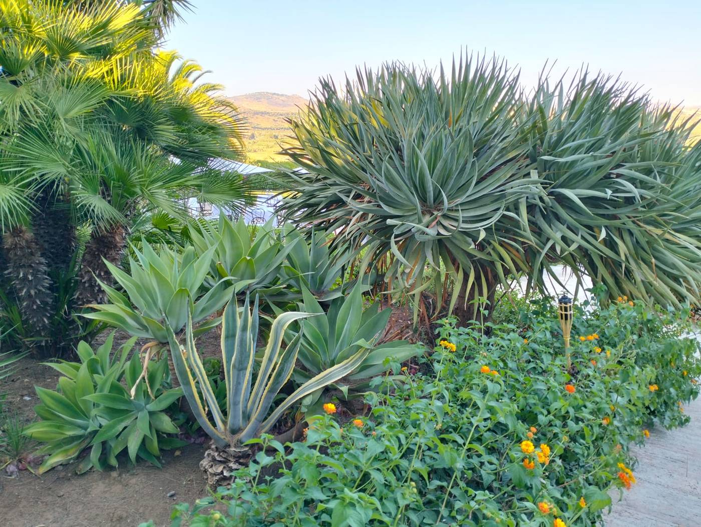 Hotel-Foresteria-Baglio-della-Luna-Lobby-21
