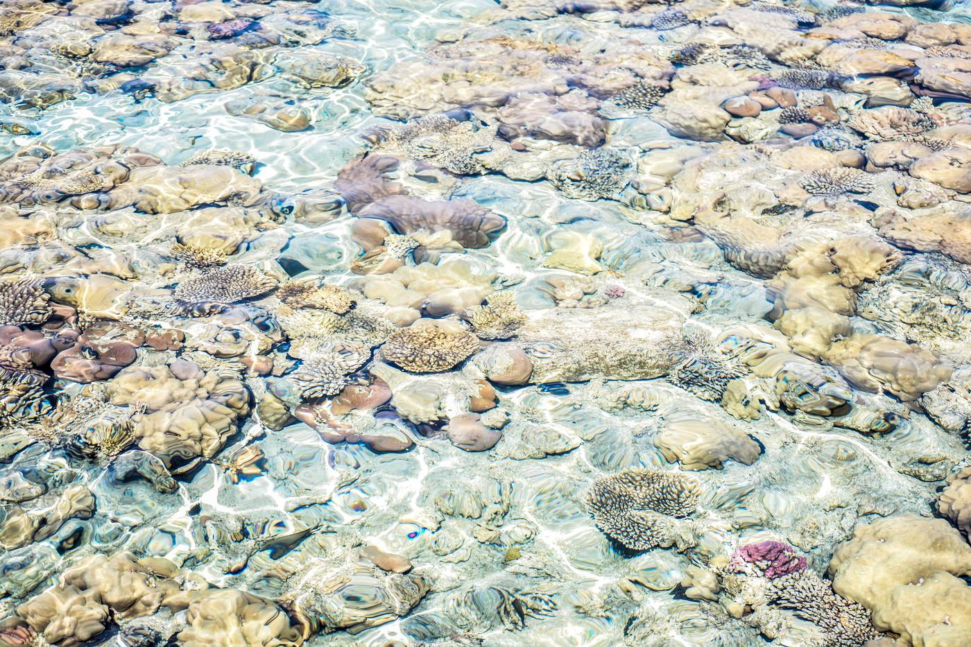 Dive-Inn-Resort-Beach-86