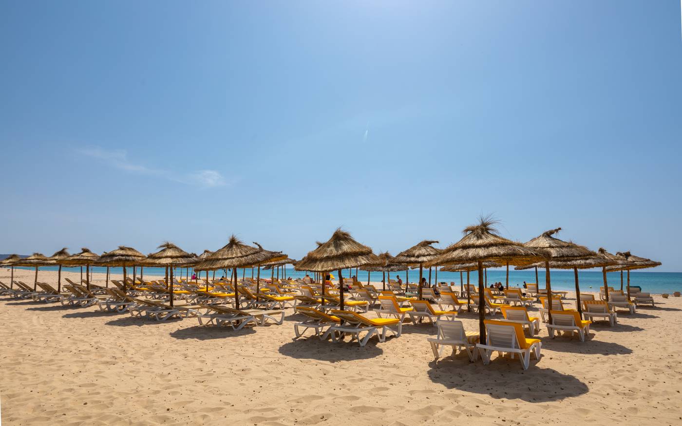 Shalimar Hammamet 23.10