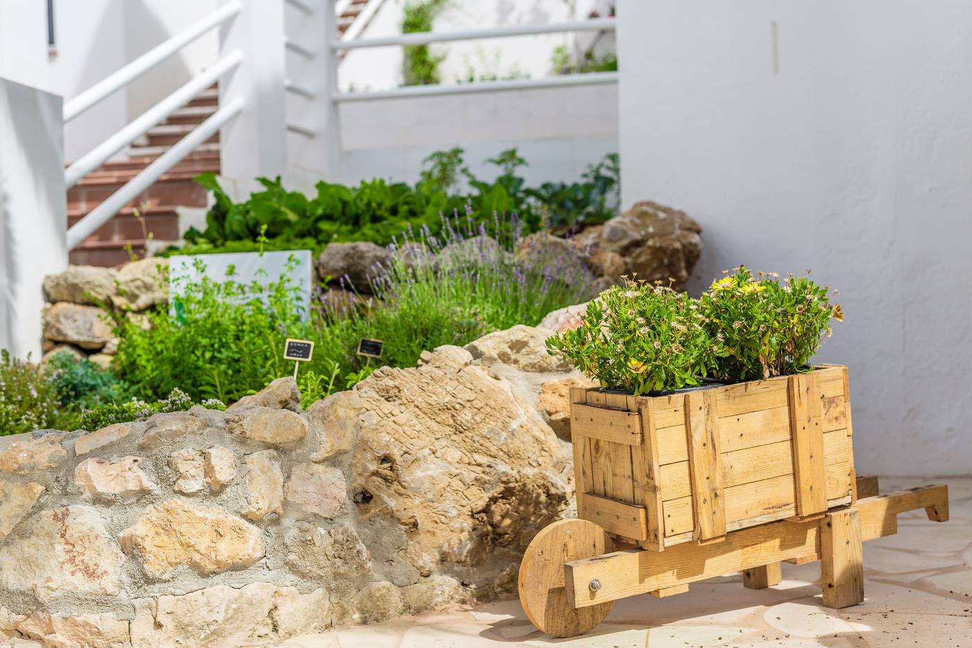 White-Sands-Beach-Club-General-view-12