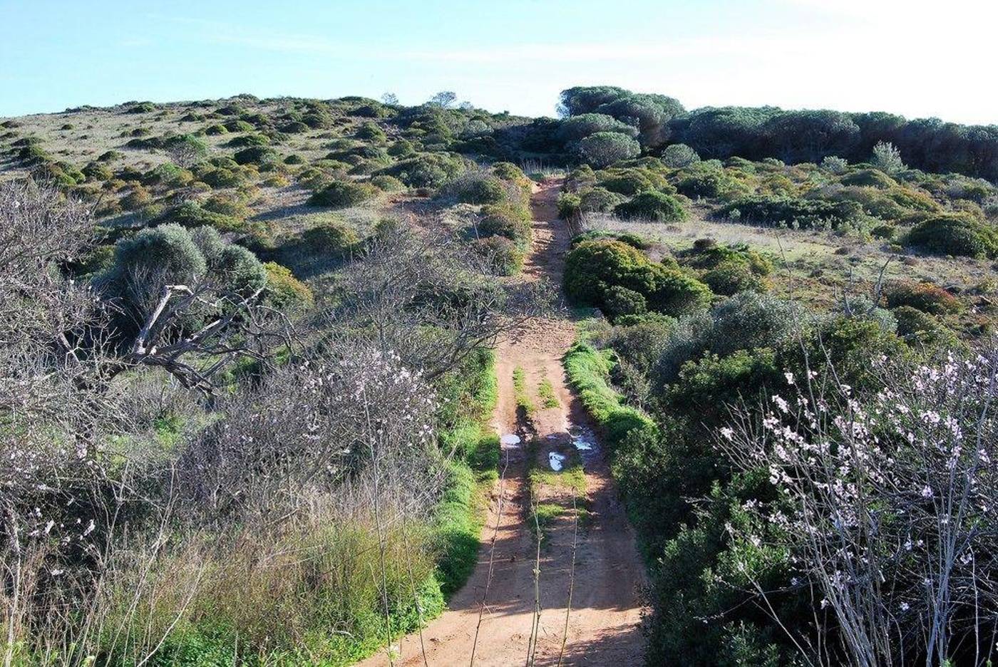 Praia-do-Burgau-General-view-28